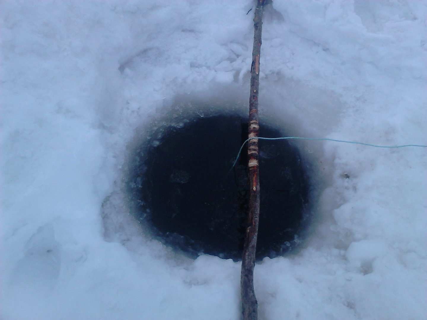 DSC_0001.JPG DSC_0001.JPG