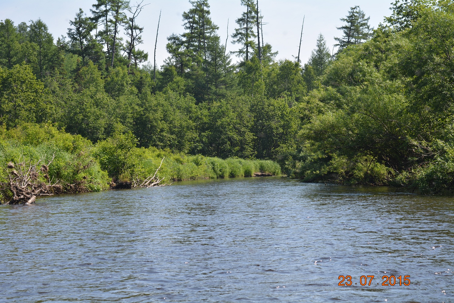 DSC_0002.JPG