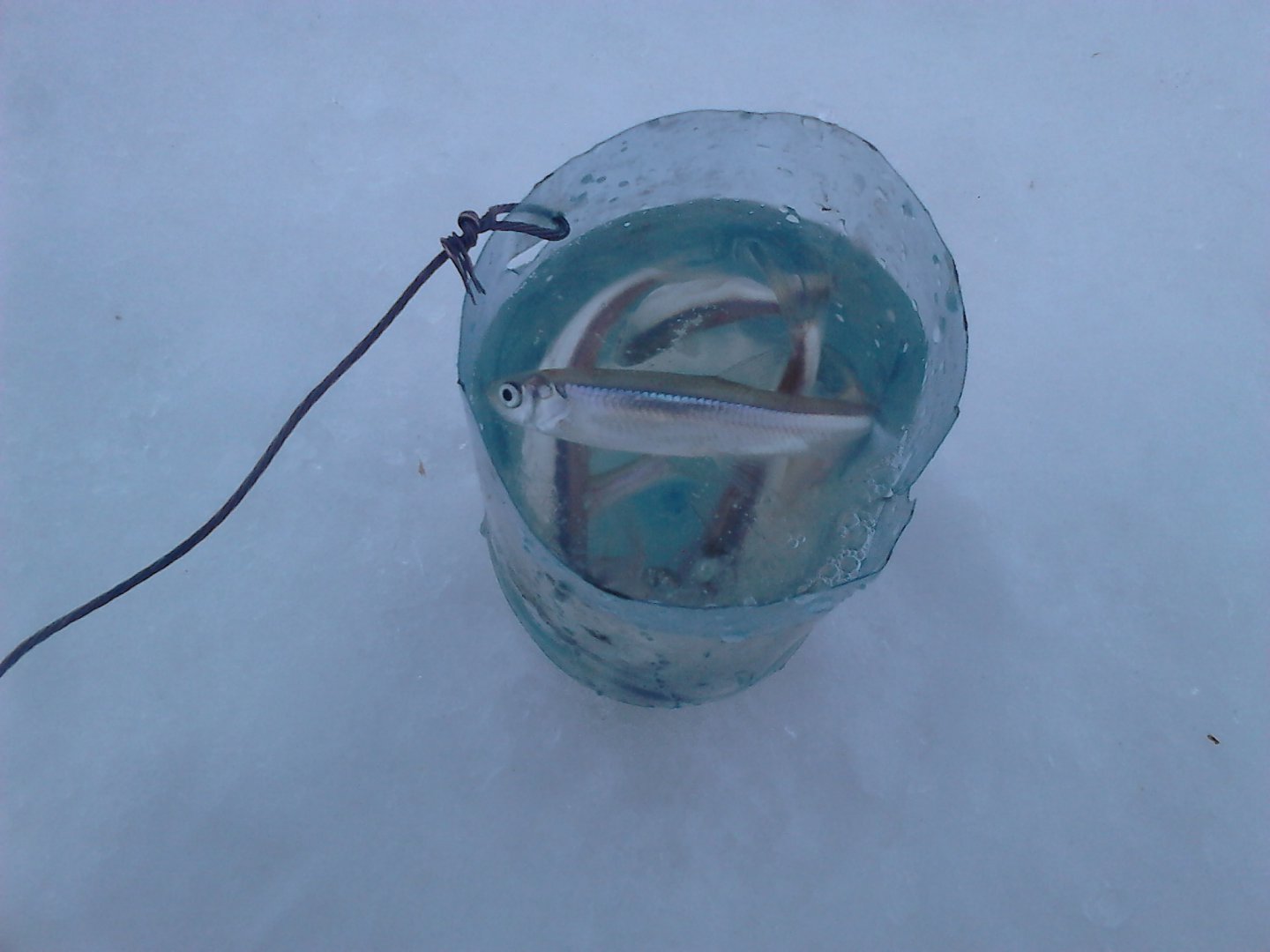 DSC_0004.JPG DSC_0004.JPG