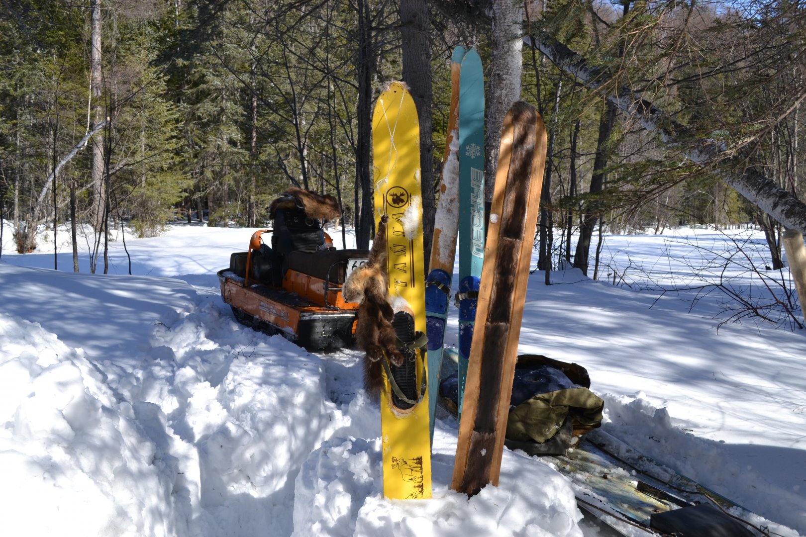 DSC_0005.JPG