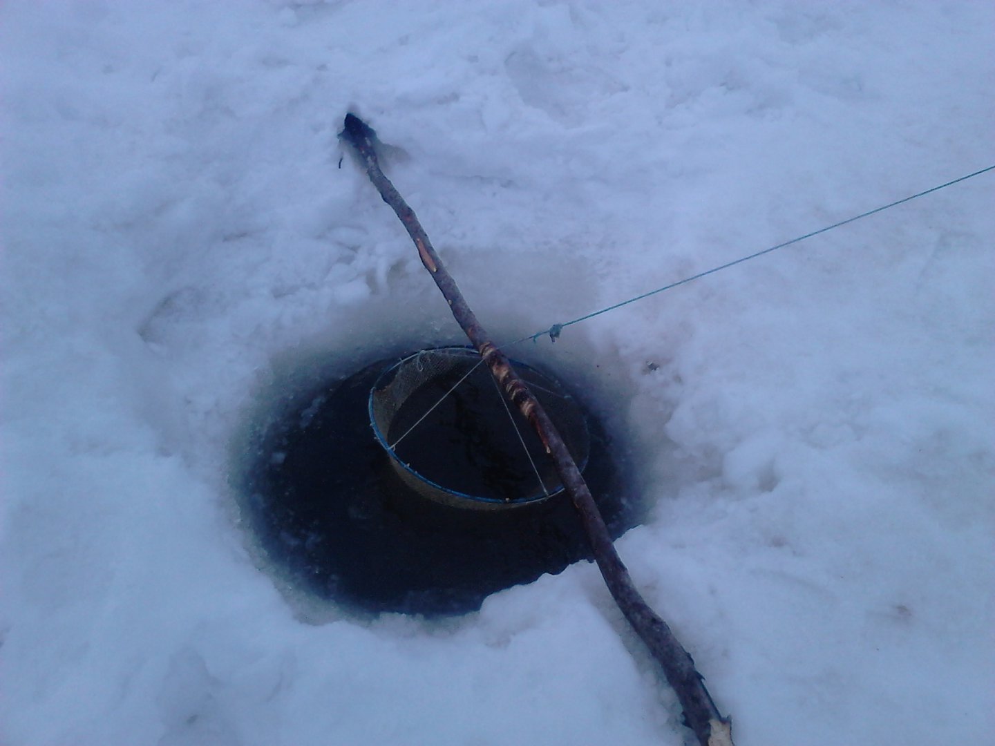 DSC_0005.JPG DSC_0005.JPG