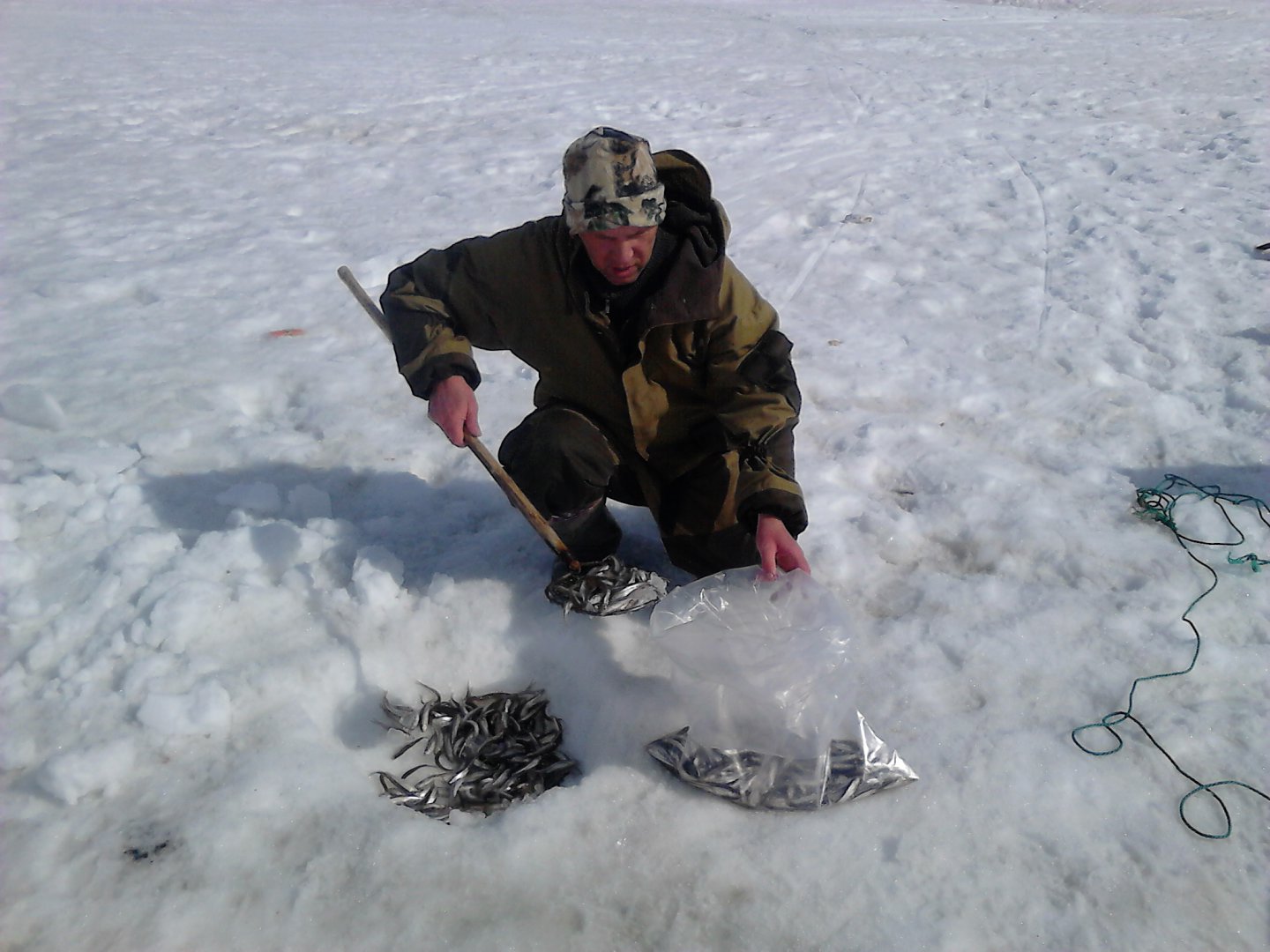 DSC_0008.JPG DSC_0008.JPG