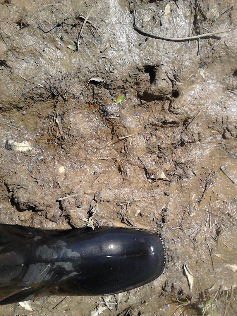 DSC_0011.JPG