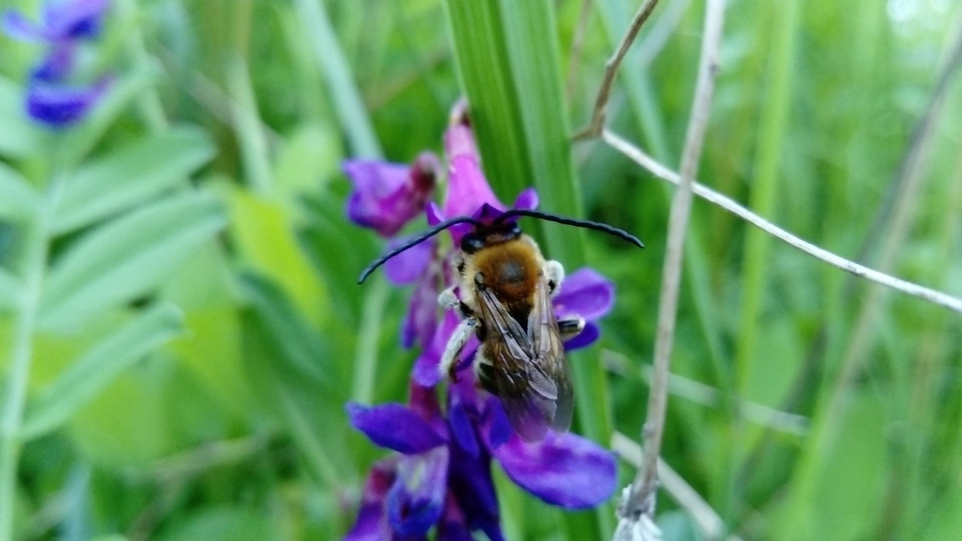 DSC_0011.JPG