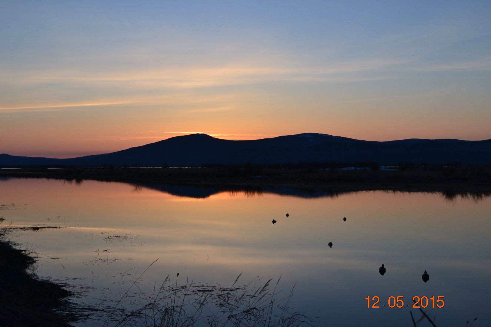 DSC_0015.JPG