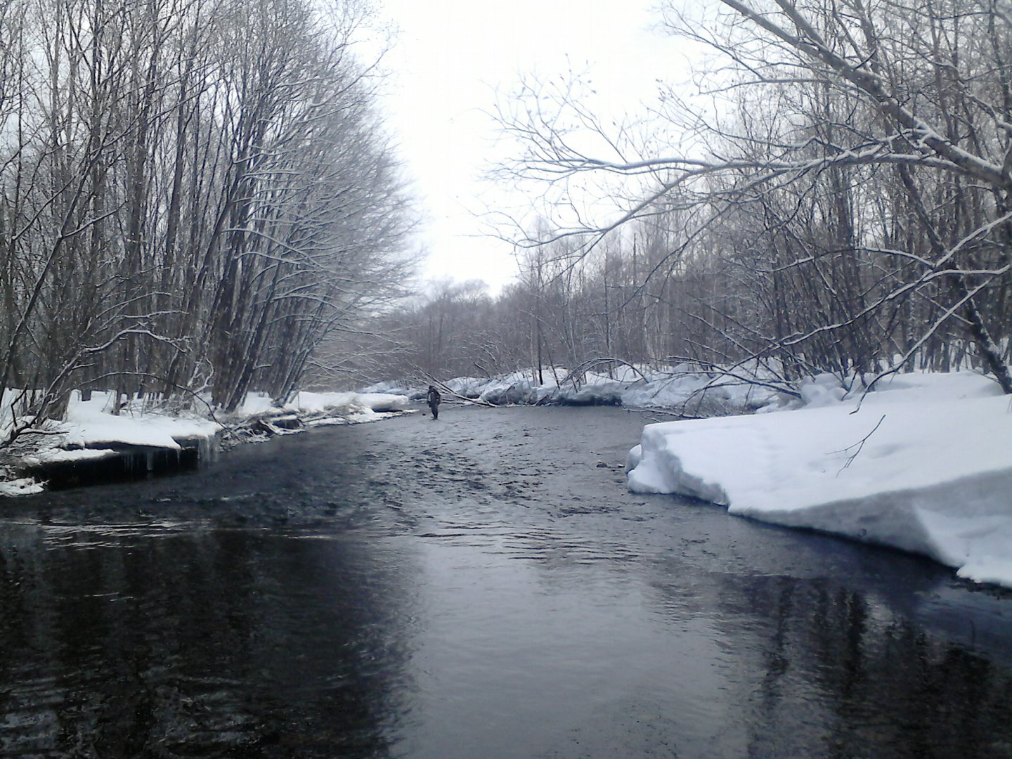 DSC_0025.jpg