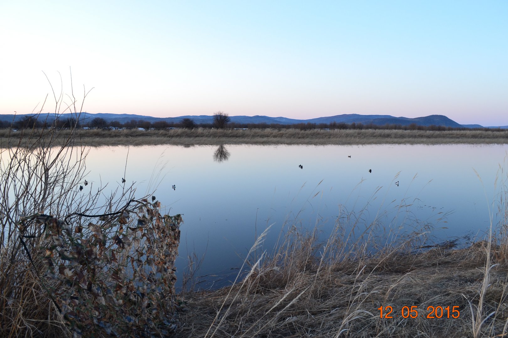 DSC_0027.JPG