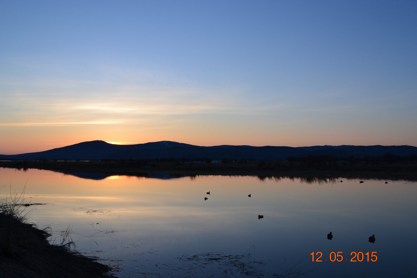DSC_0032.JPG