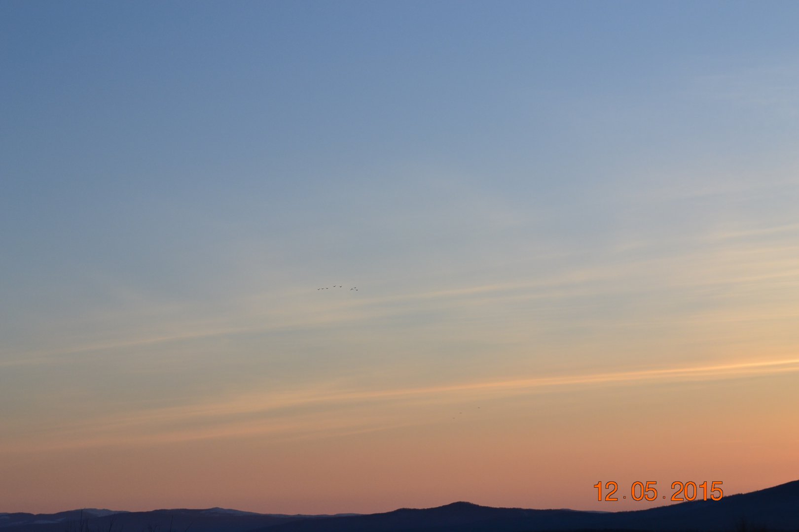 DSC_0033.JPG