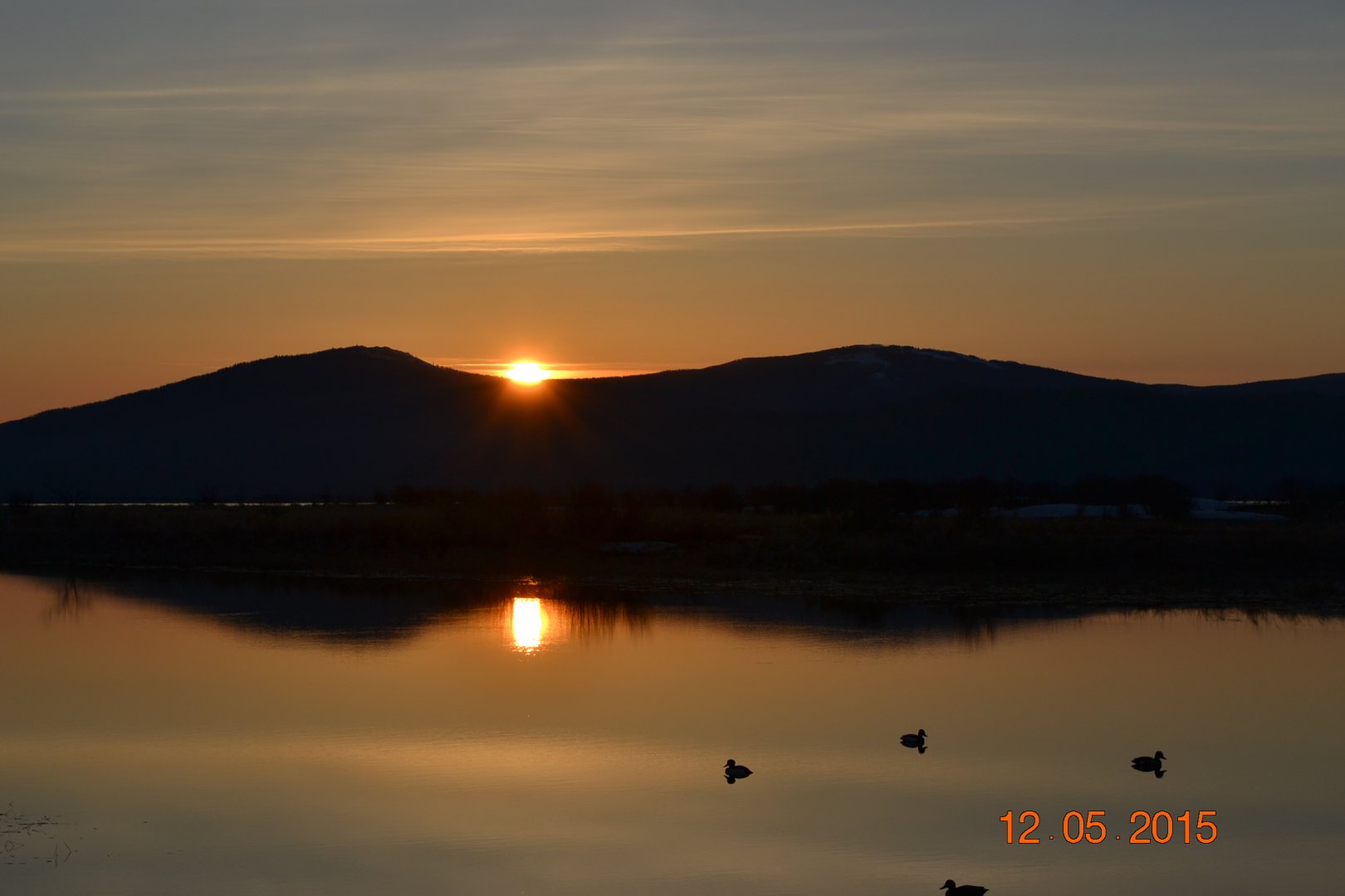 DSC_0043.JPG