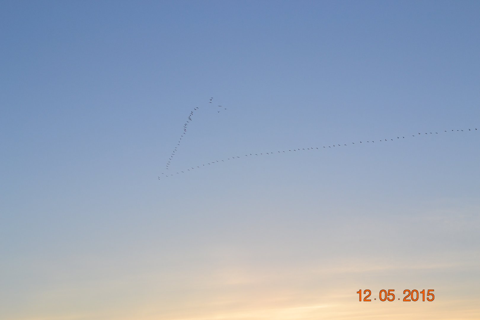 DSC_0044.JPG