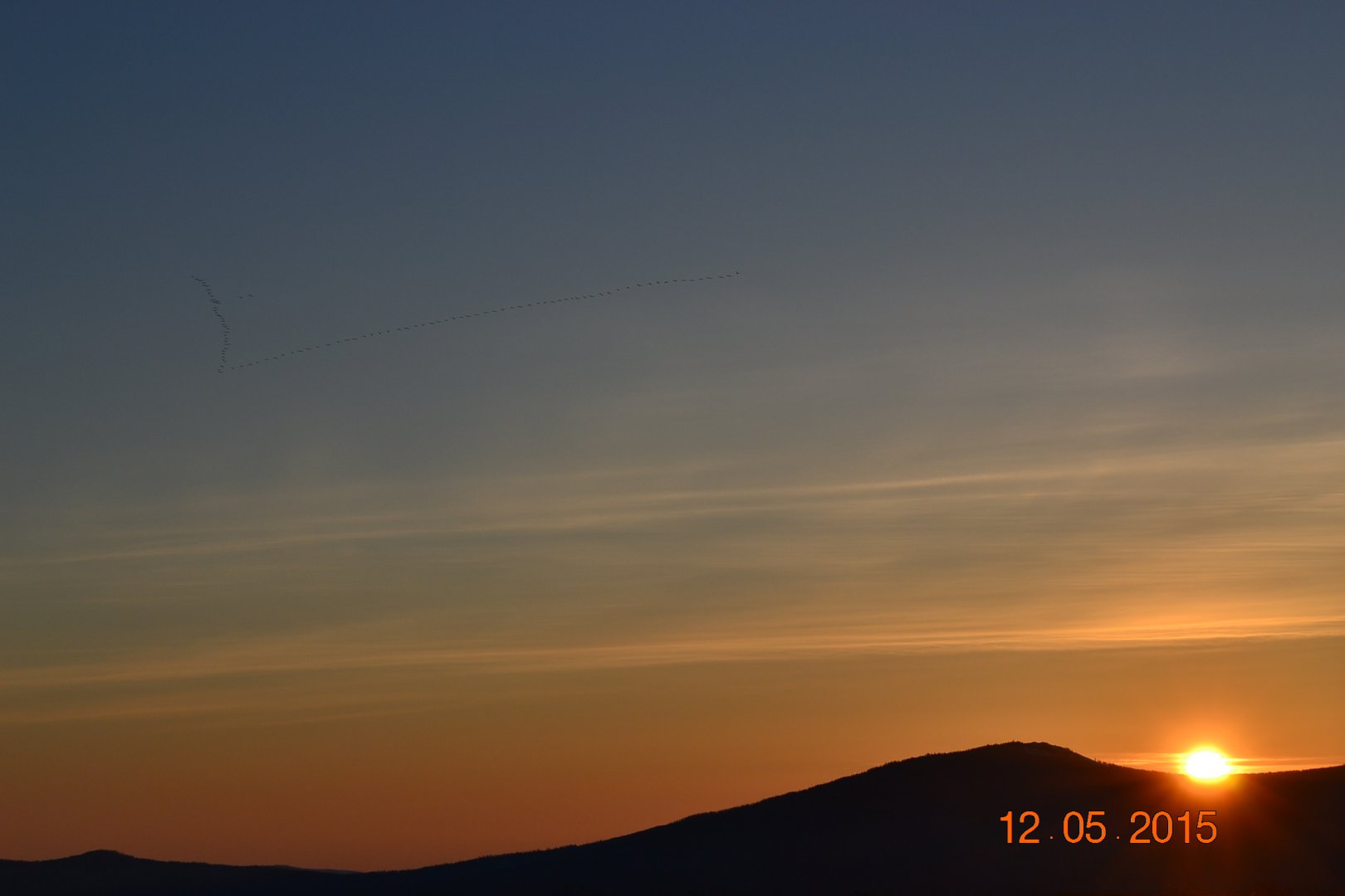 DSC_0045.JPG