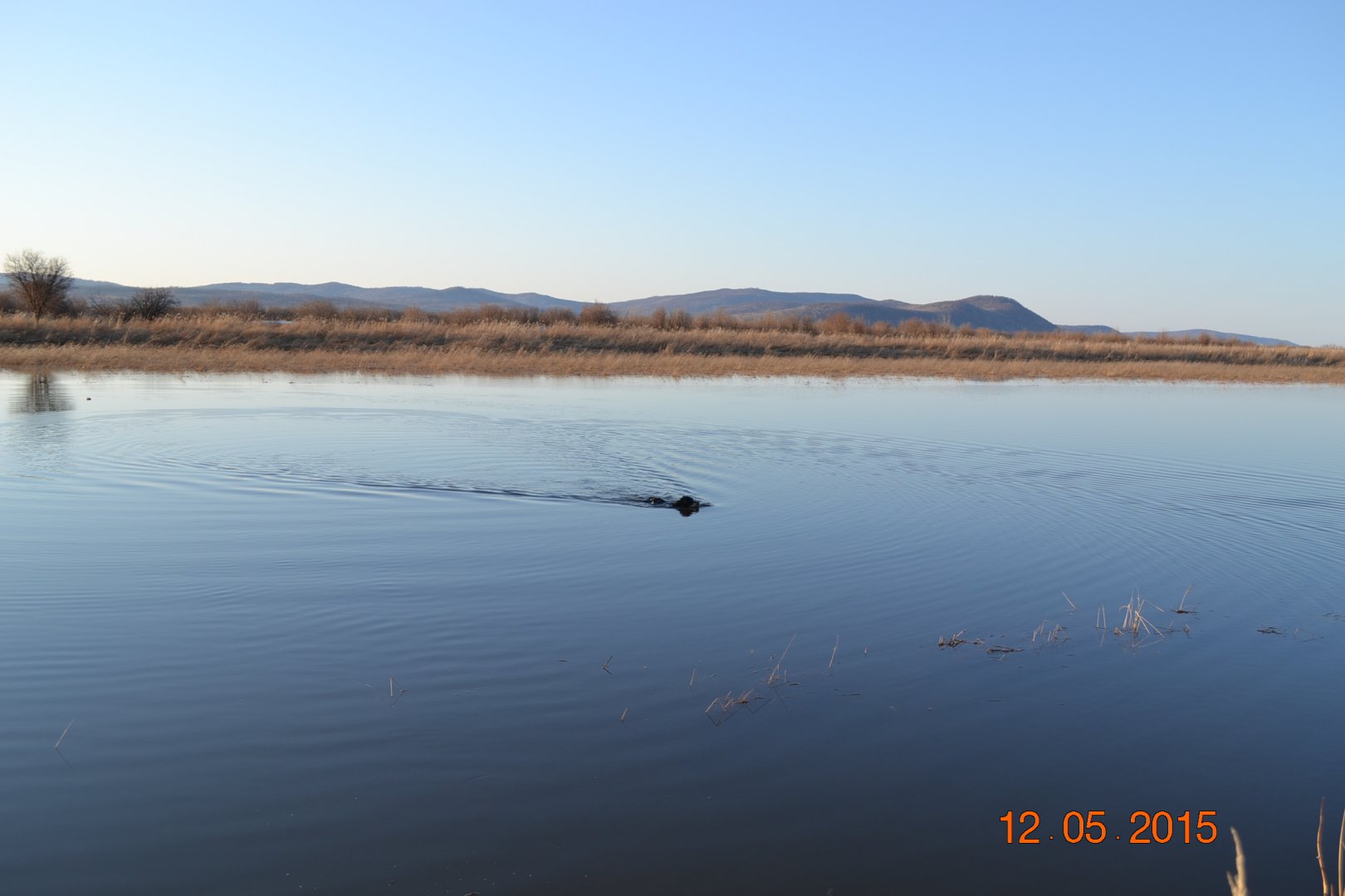 DSC_0052.JPG