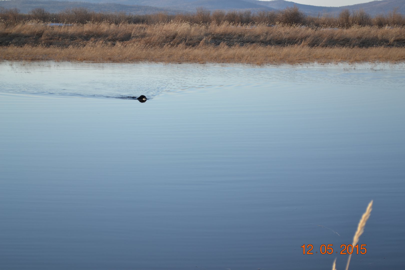 DSC_0054.JPG
