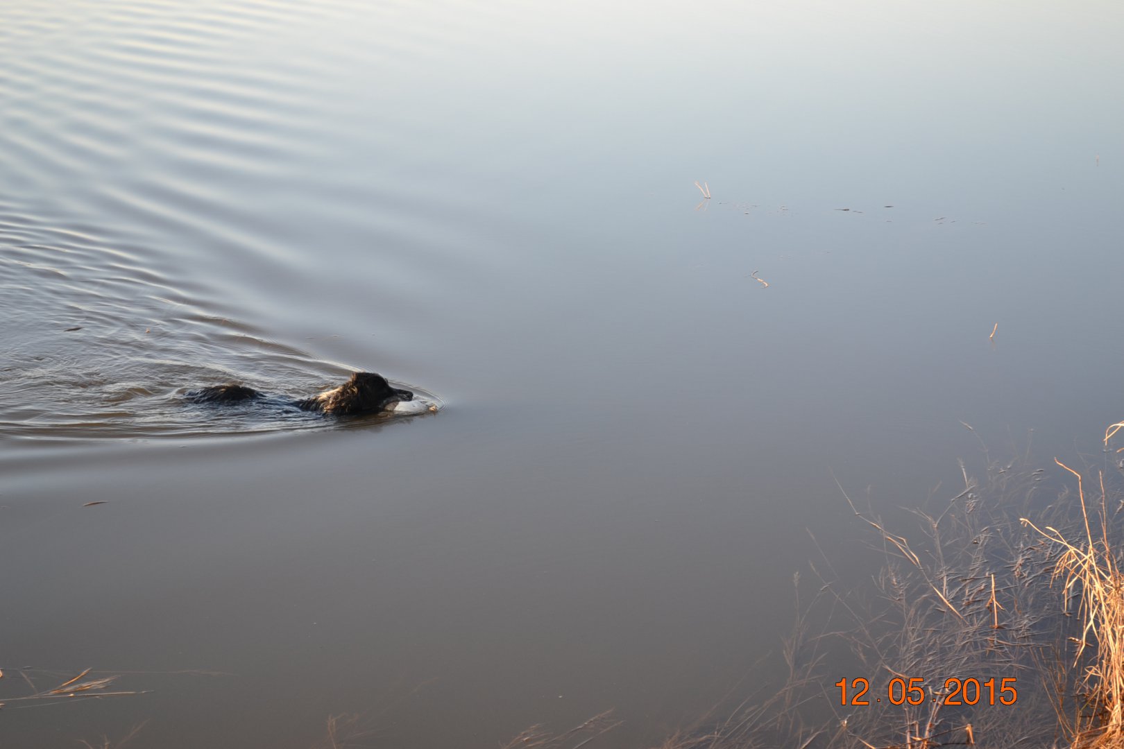 DSC_0058.JPG