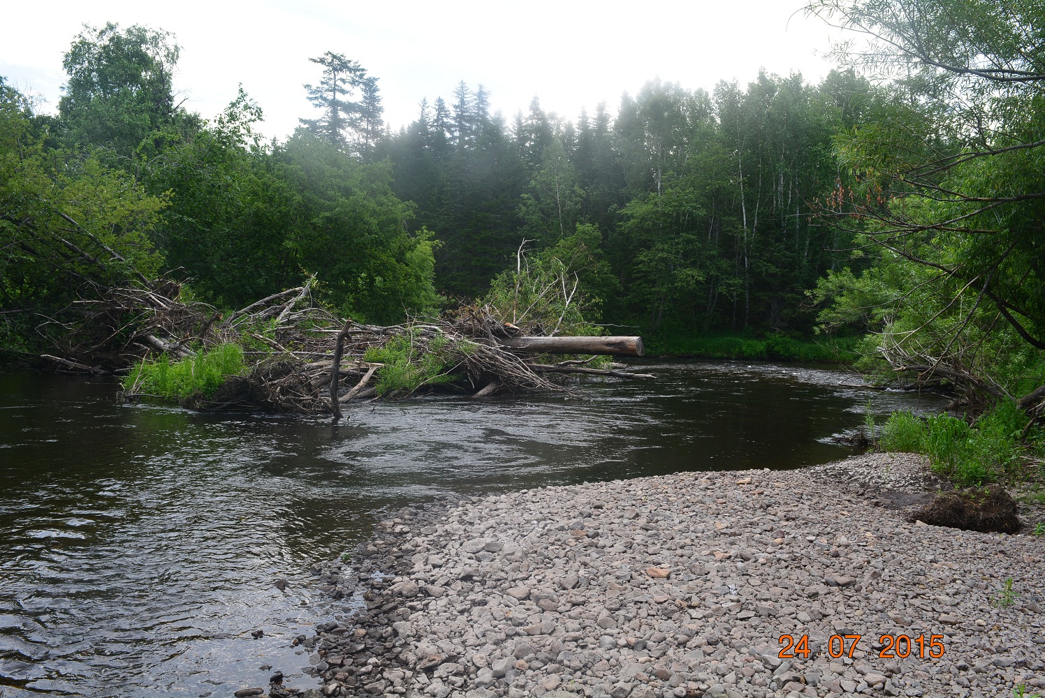 DSC_0058.JPG