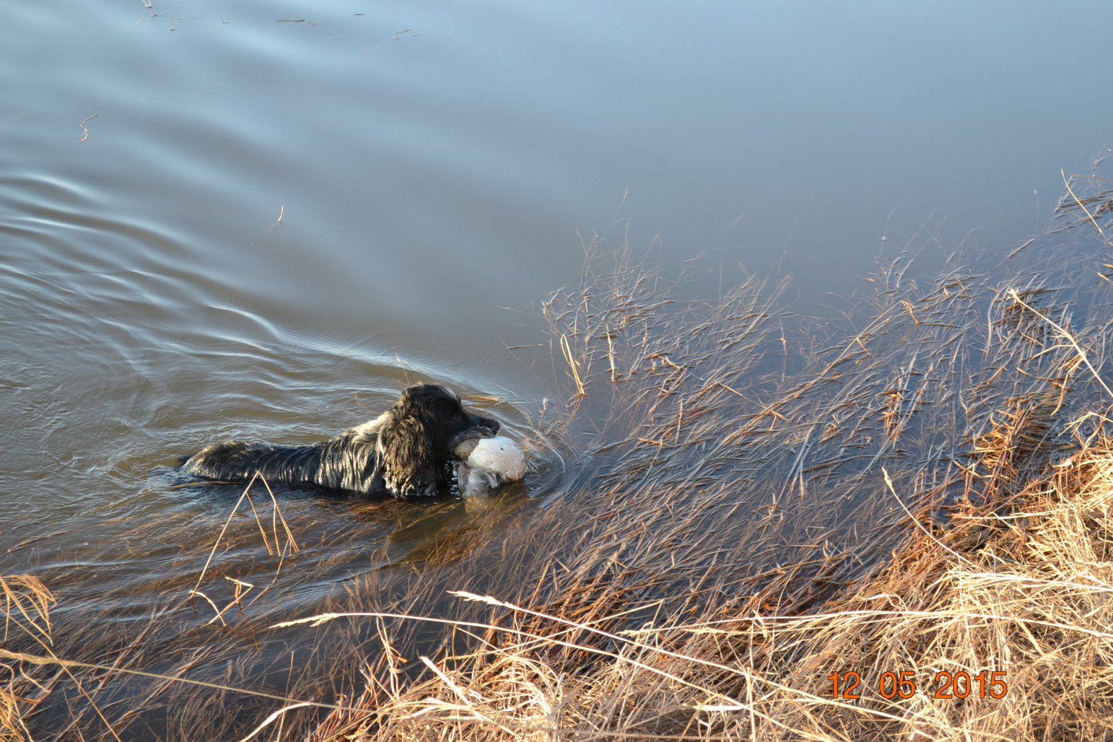 DSC_0061.JPG