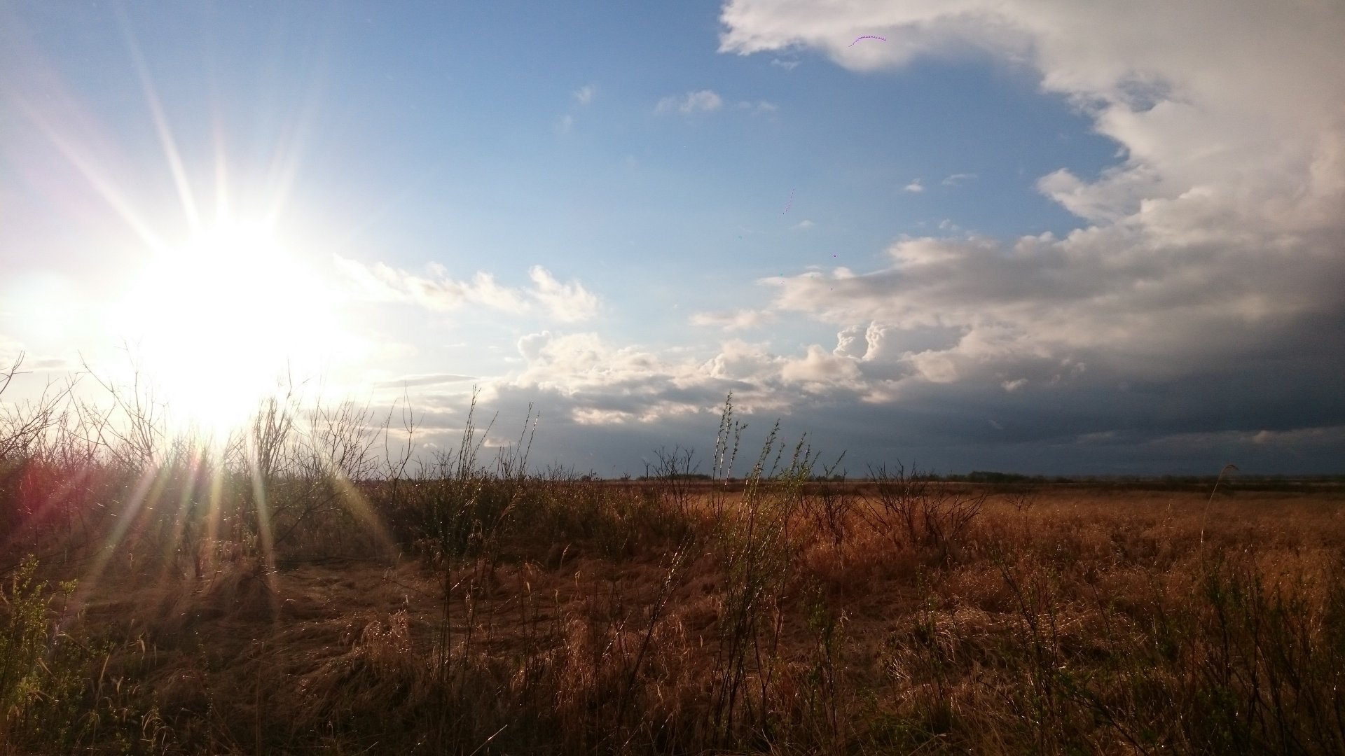 DSC_0075.JPG