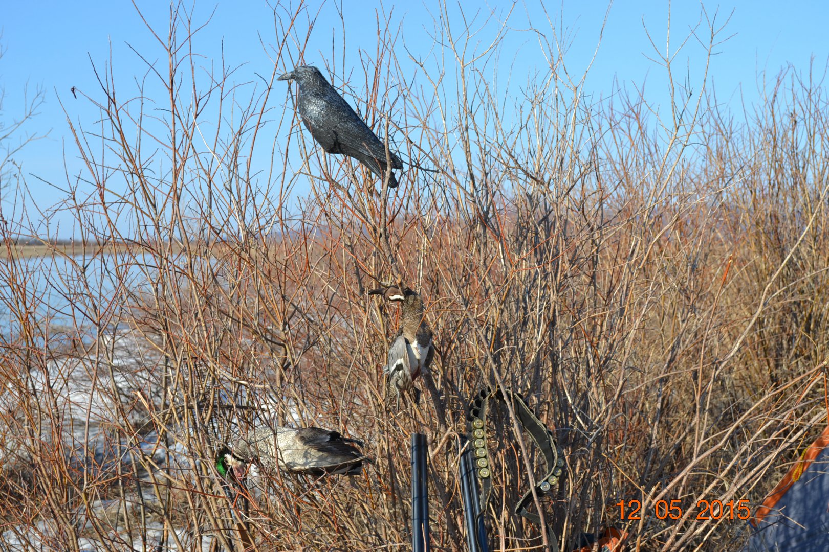 DSC_0083.JPG
