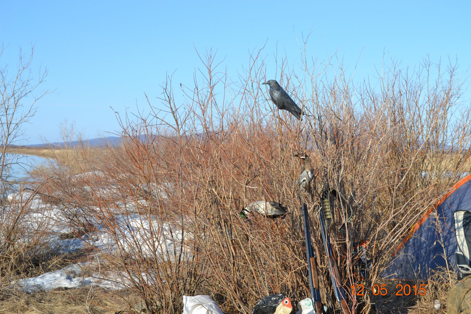 DSC_0089.JPG