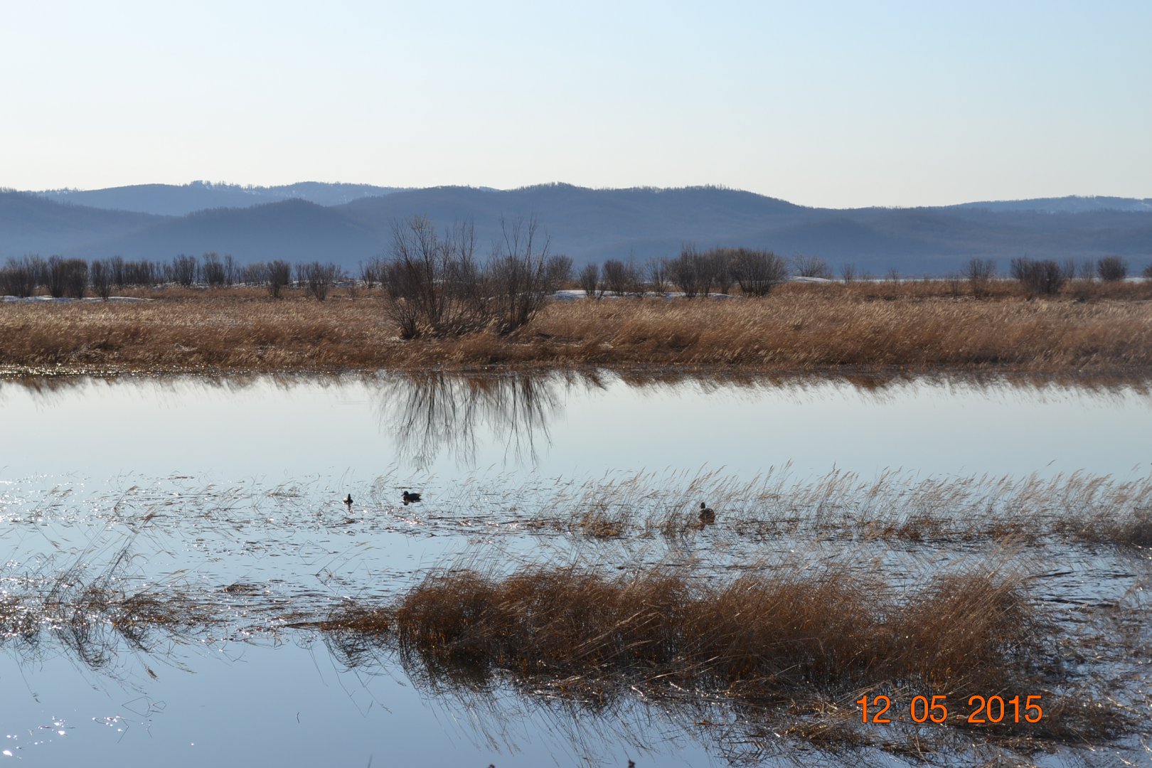 DSC_0090.JPG