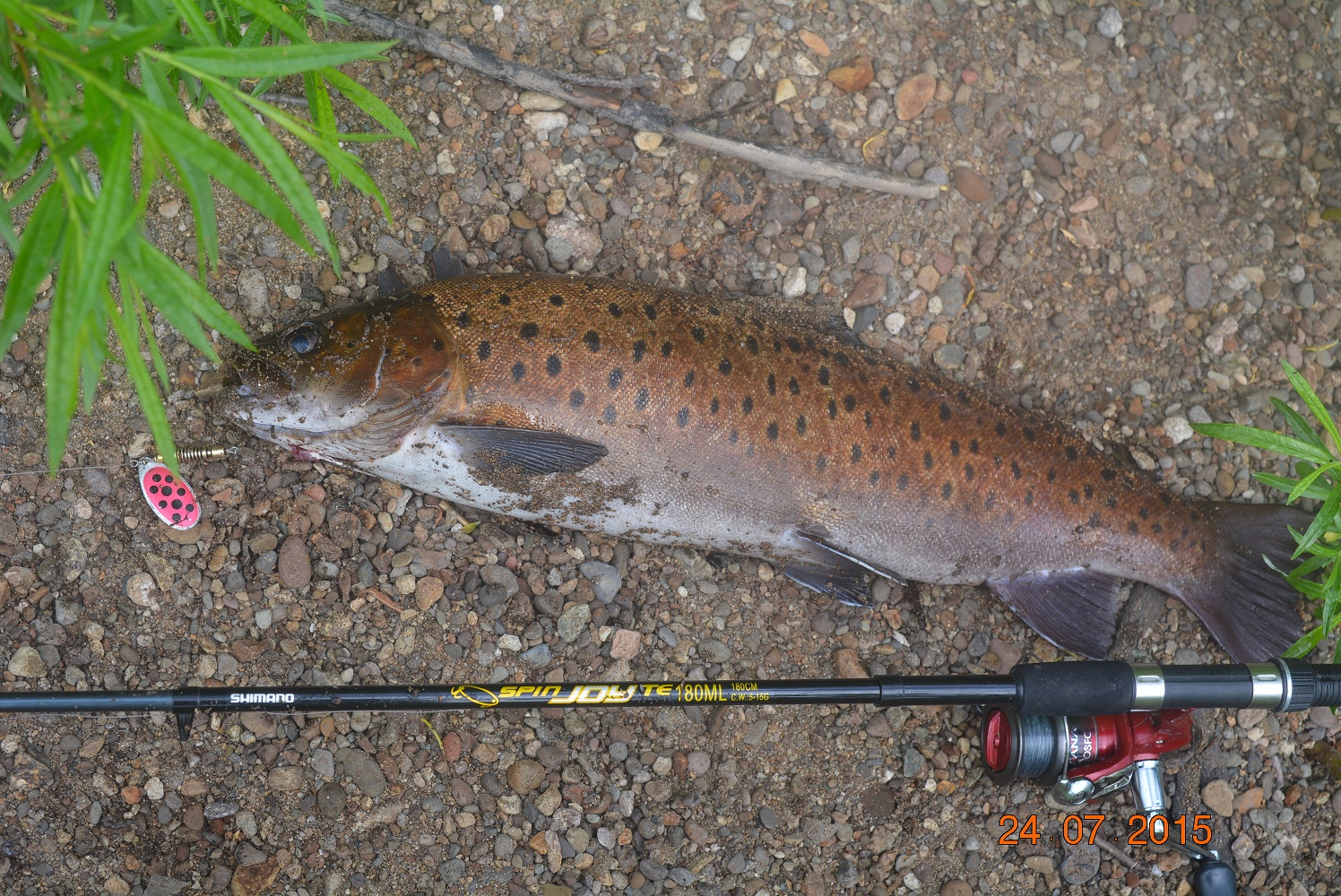 DSC_0093.JPG