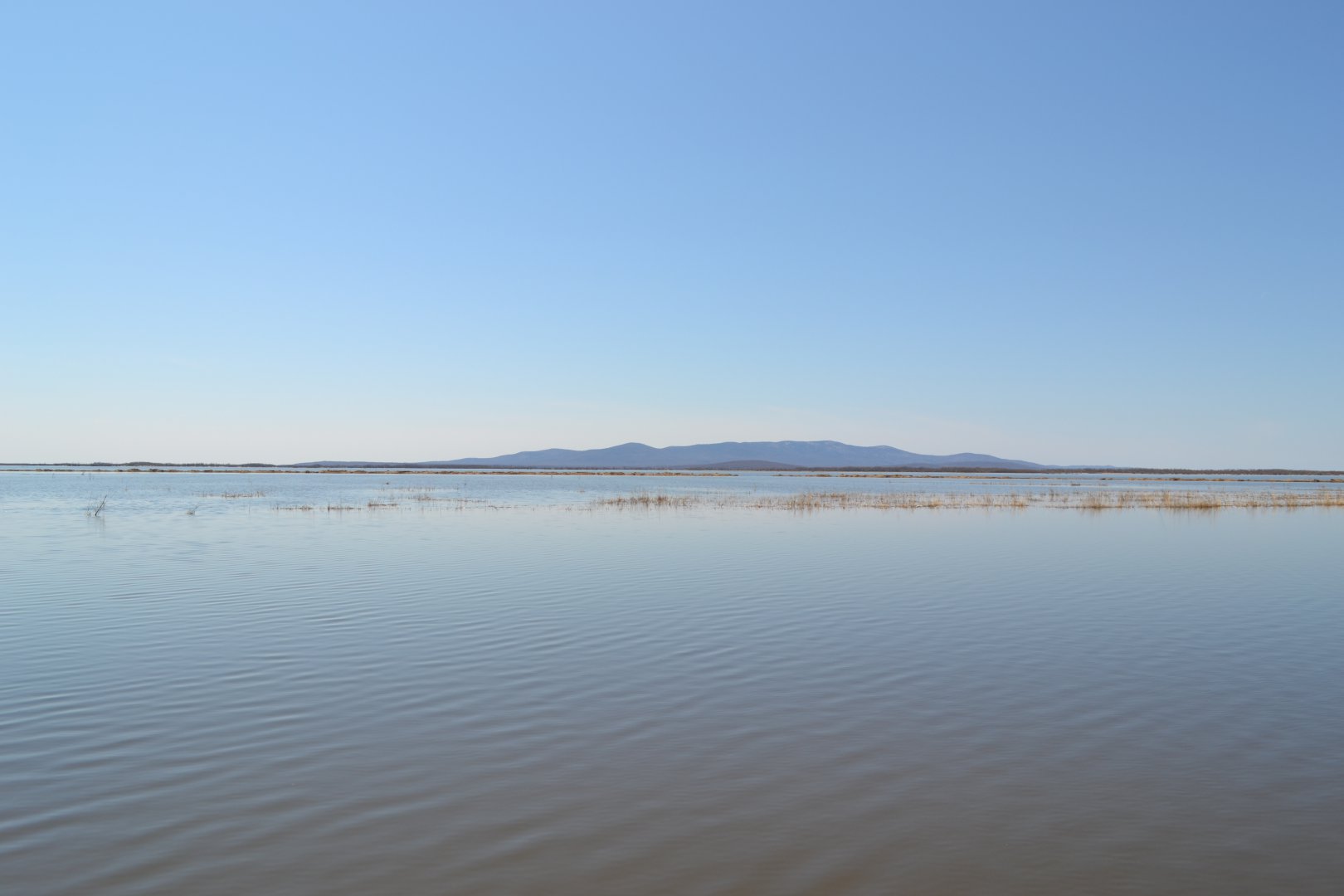 DSC_0097.JPG