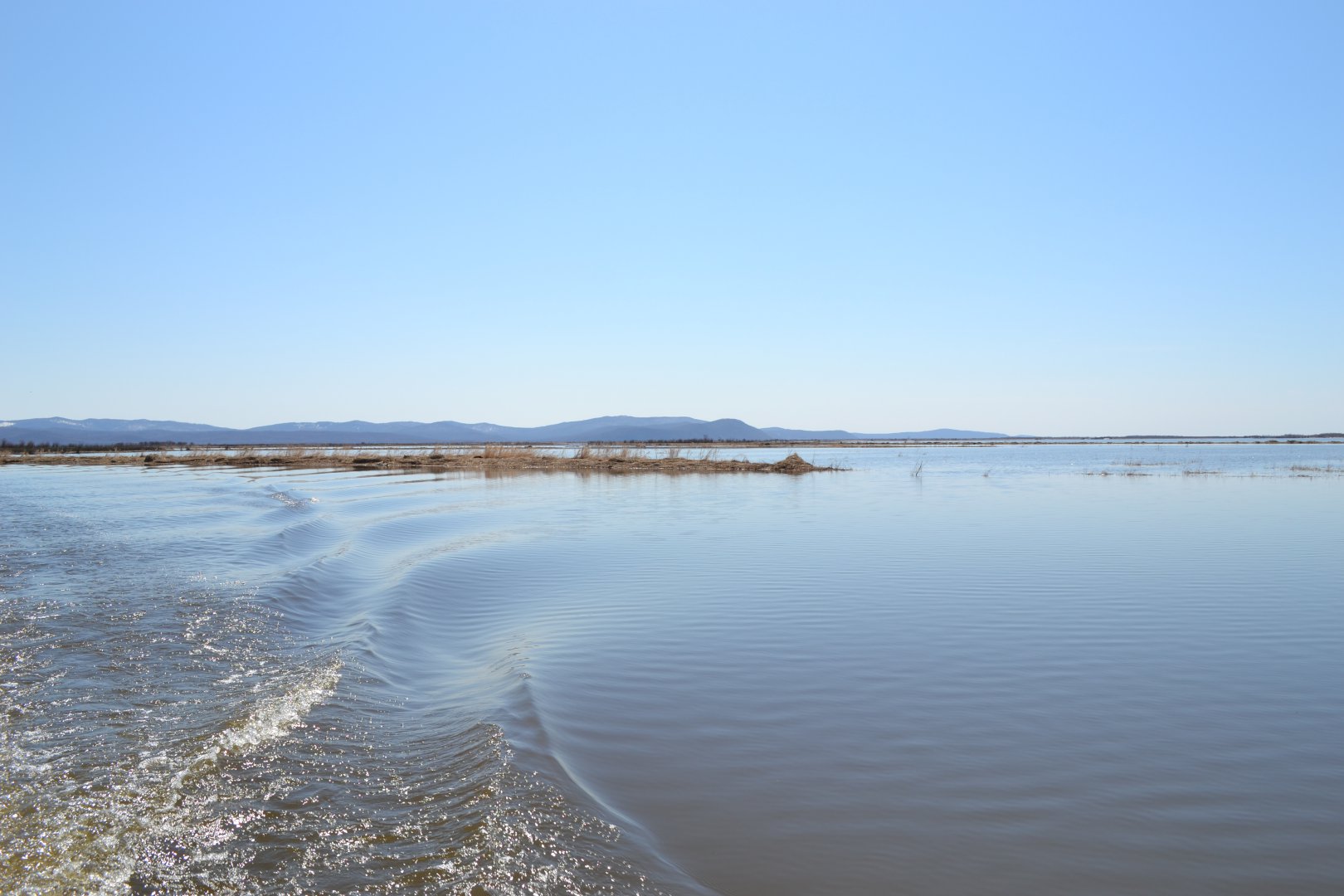 DSC_0098.JPG