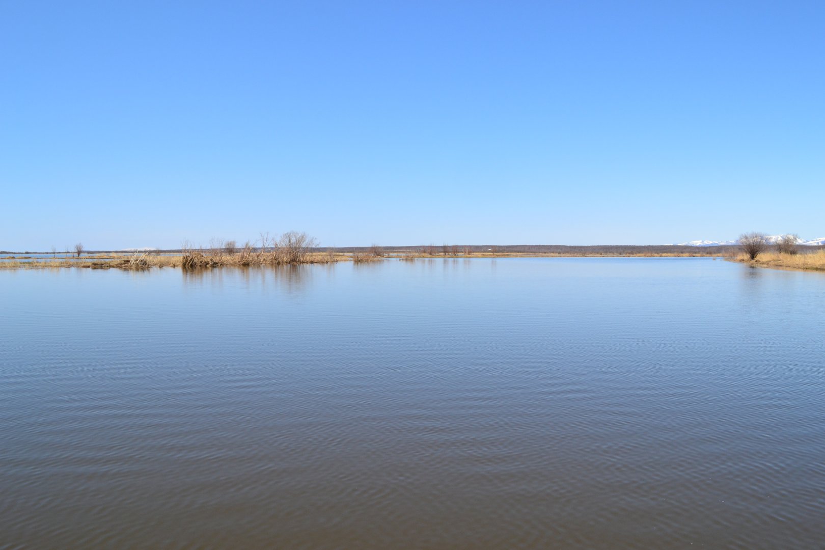 DSC_0099.JPG