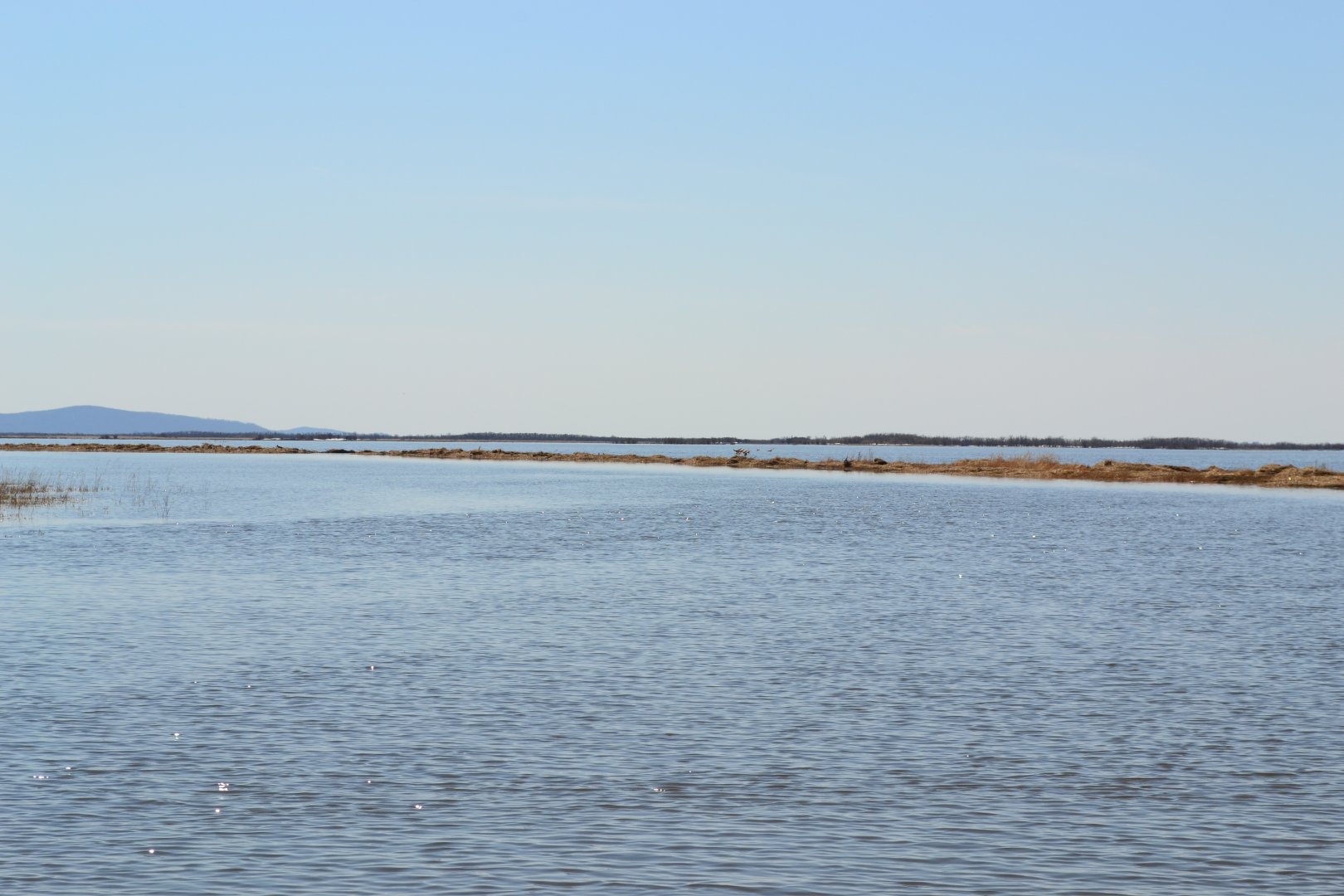 DSC_0100.JPG