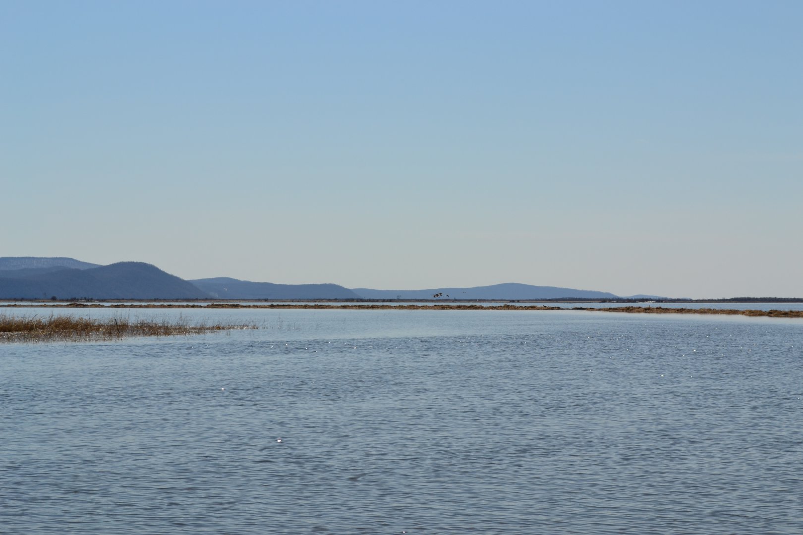 DSC_0101.JPG