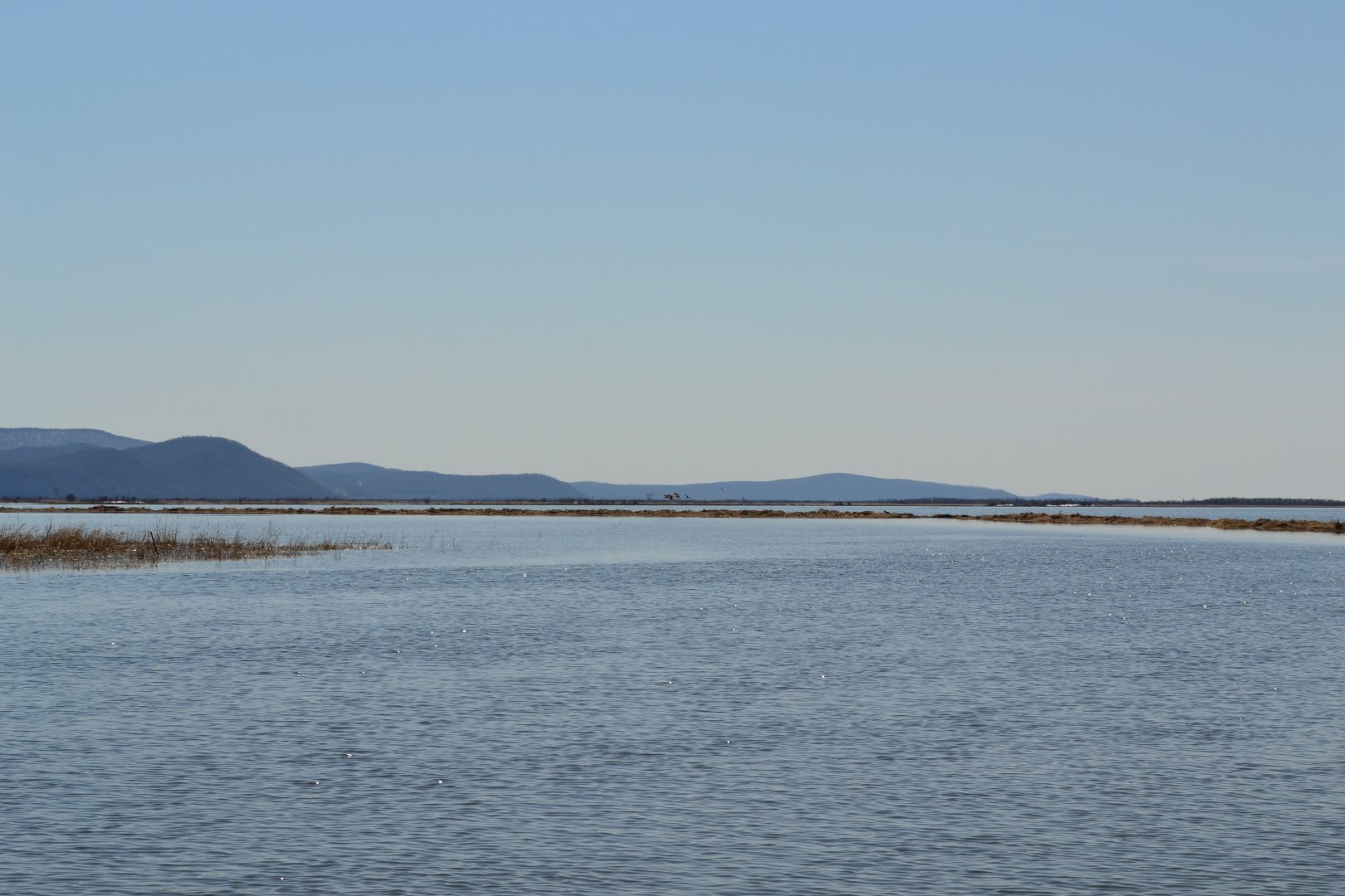 DSC_0102.JPG