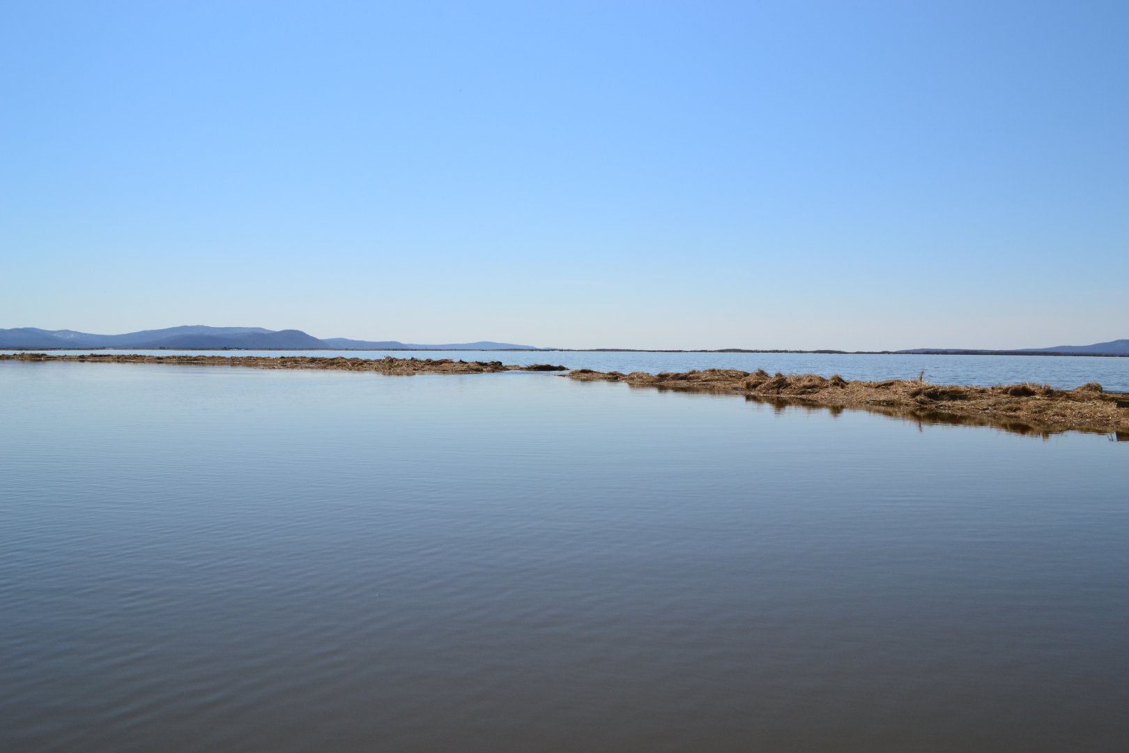 DSC_0103.JPG