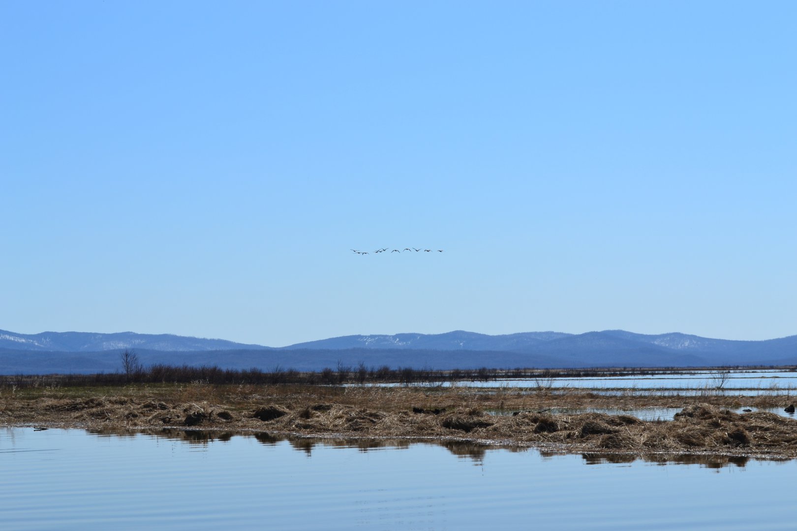 DSC_0104.JPG