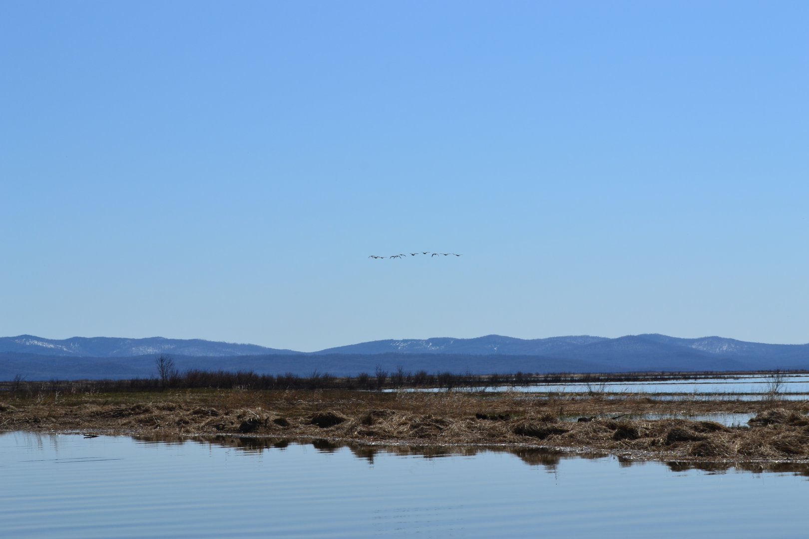 DSC_0105.JPG