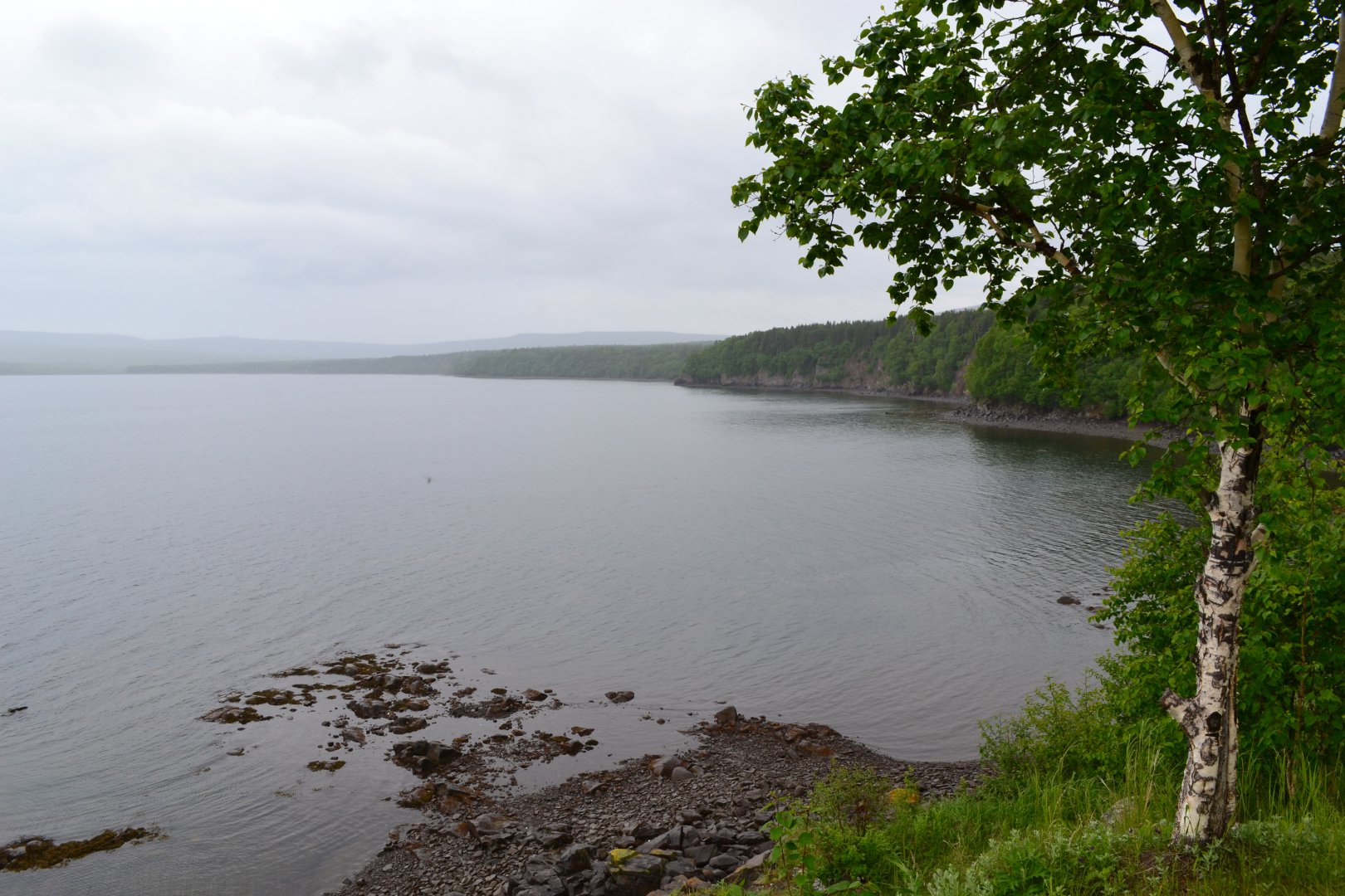 DSC_0114.JPG