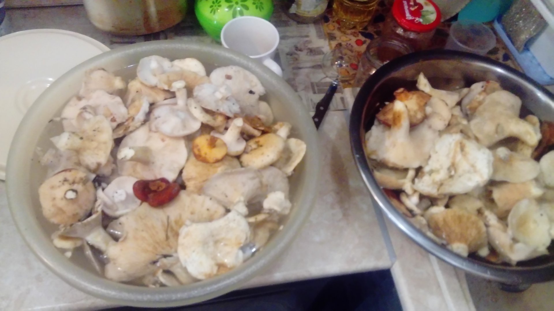 DSC_0114.JPG