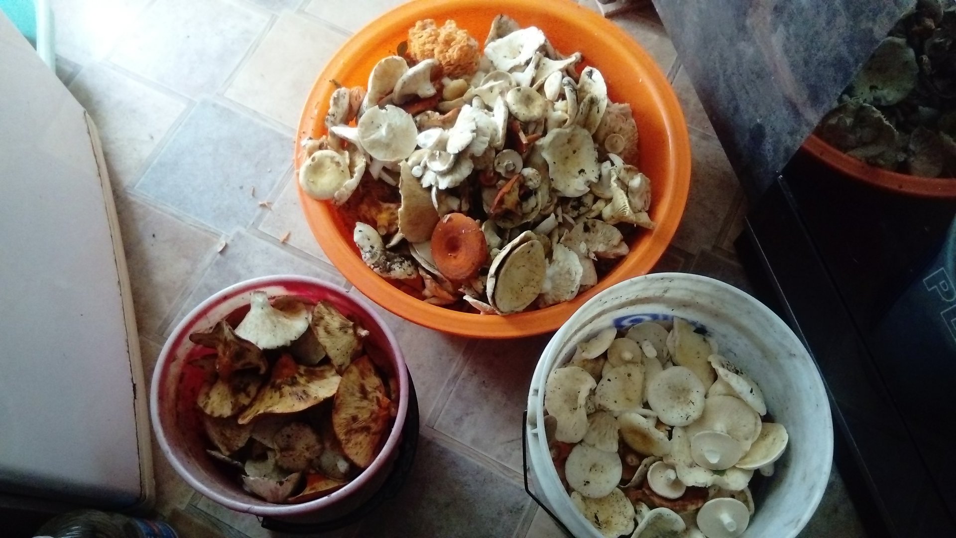 DSC_0117.JPG