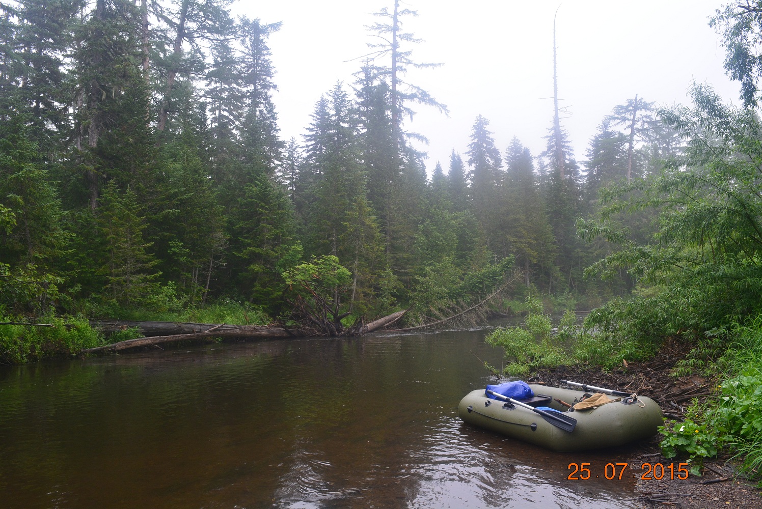 DSC_0133.JPG