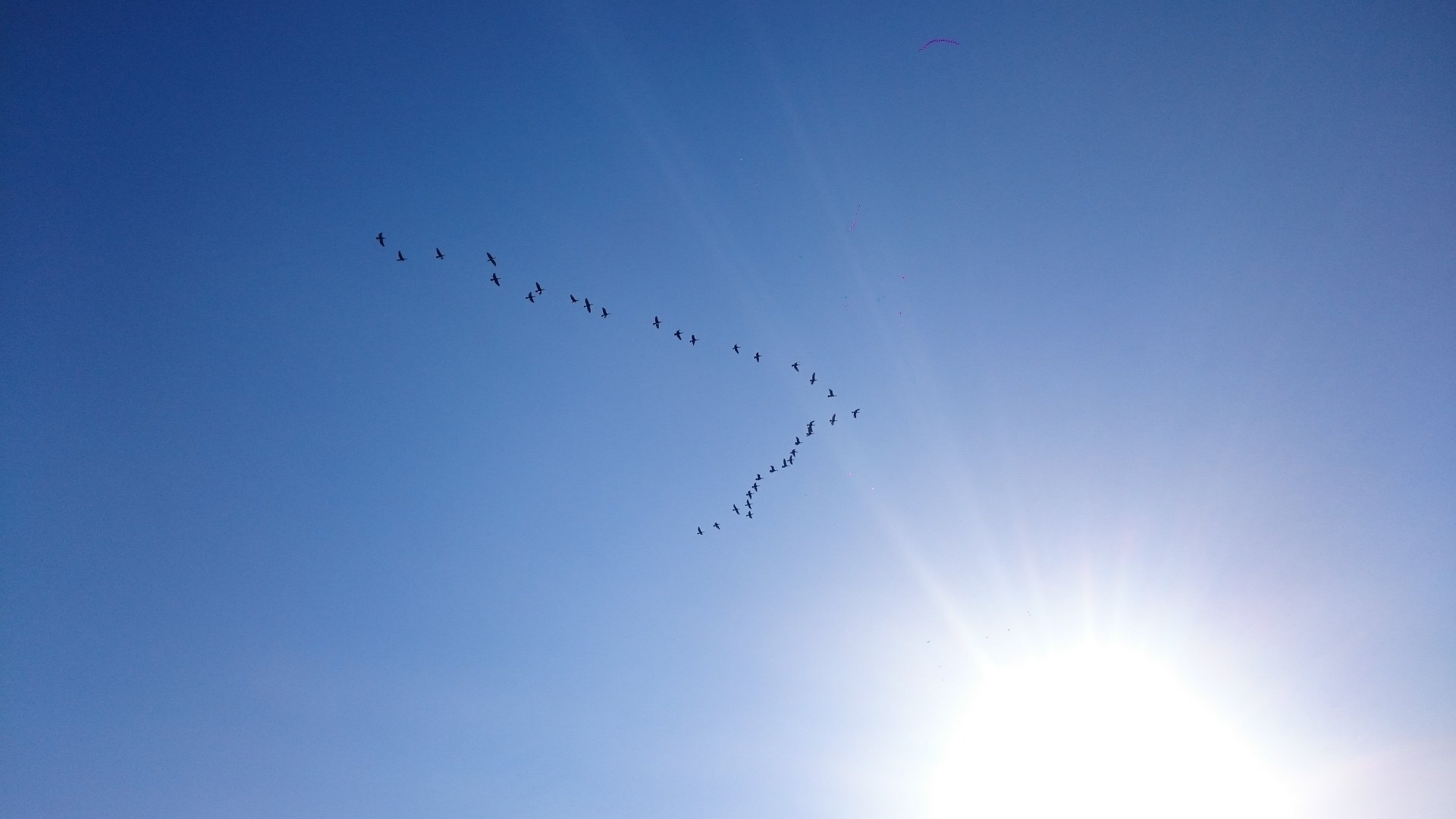 DSC_0134.JPG