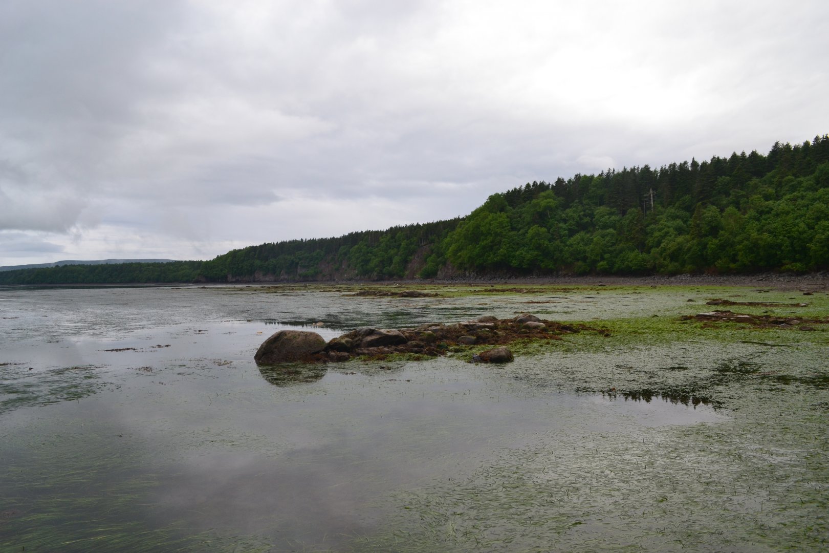 DSC_0137.JPG
