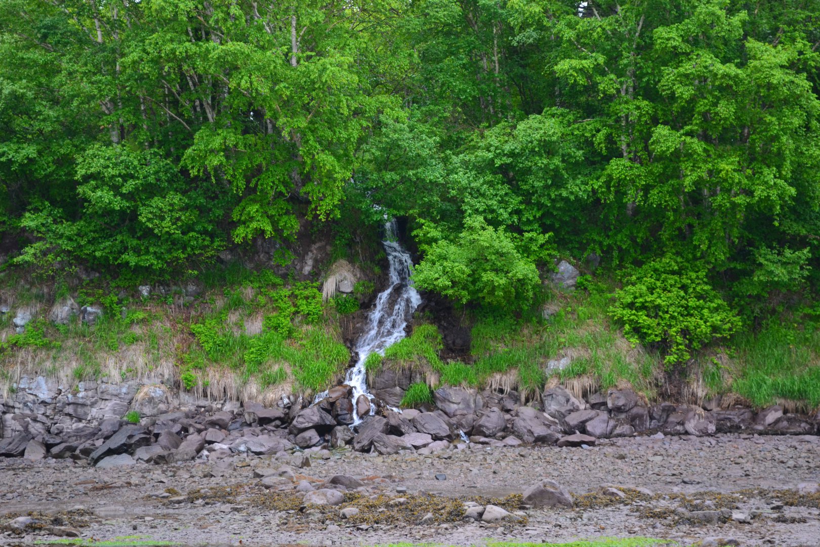 DSC_0144.JPG
