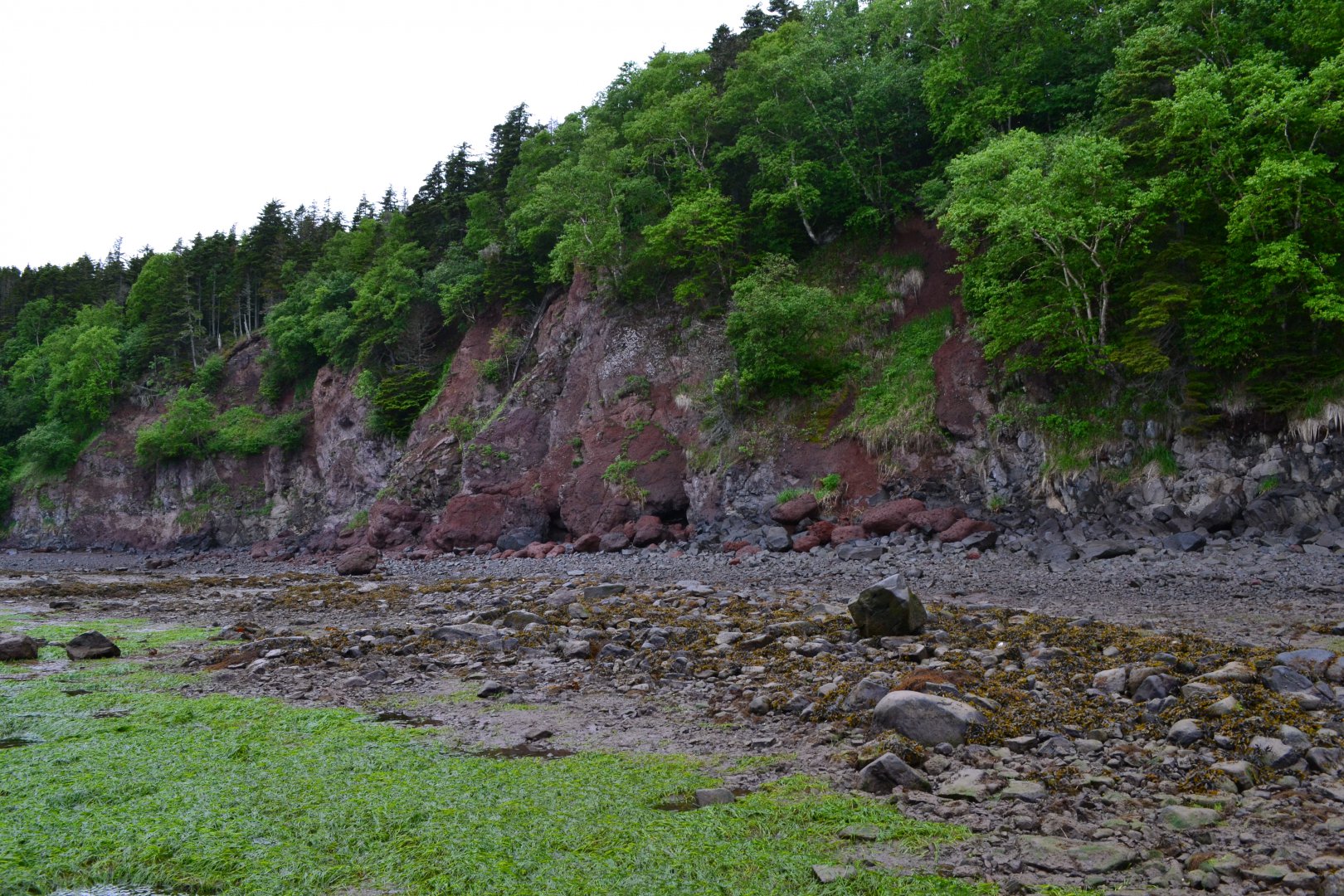 DSC_0154.JPG