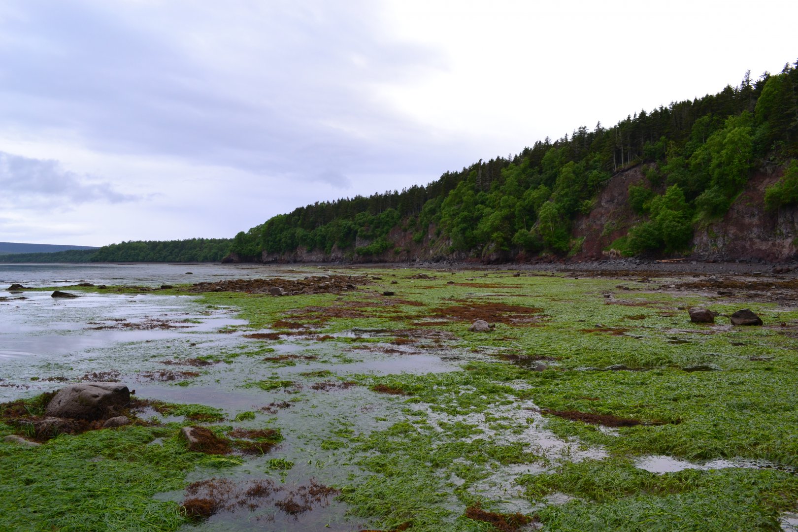 DSC_0155.JPG