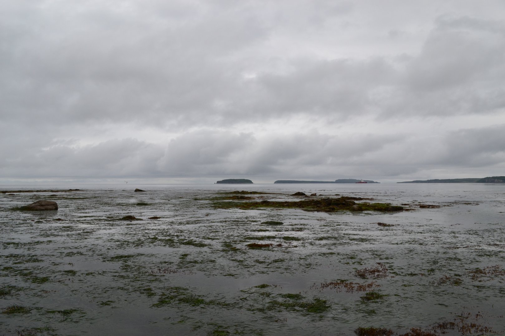 DSC_0156.JPG