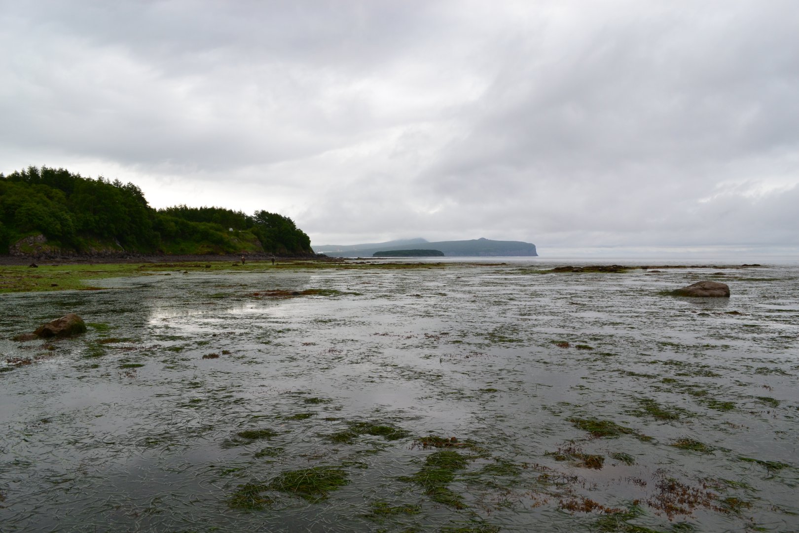 DSC_0157.JPG