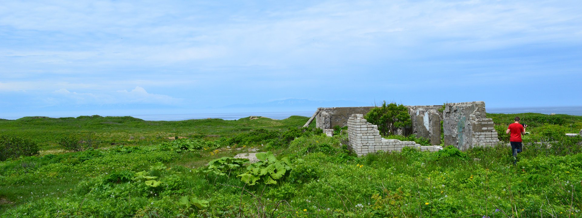 DSC_0161_2000.jpg