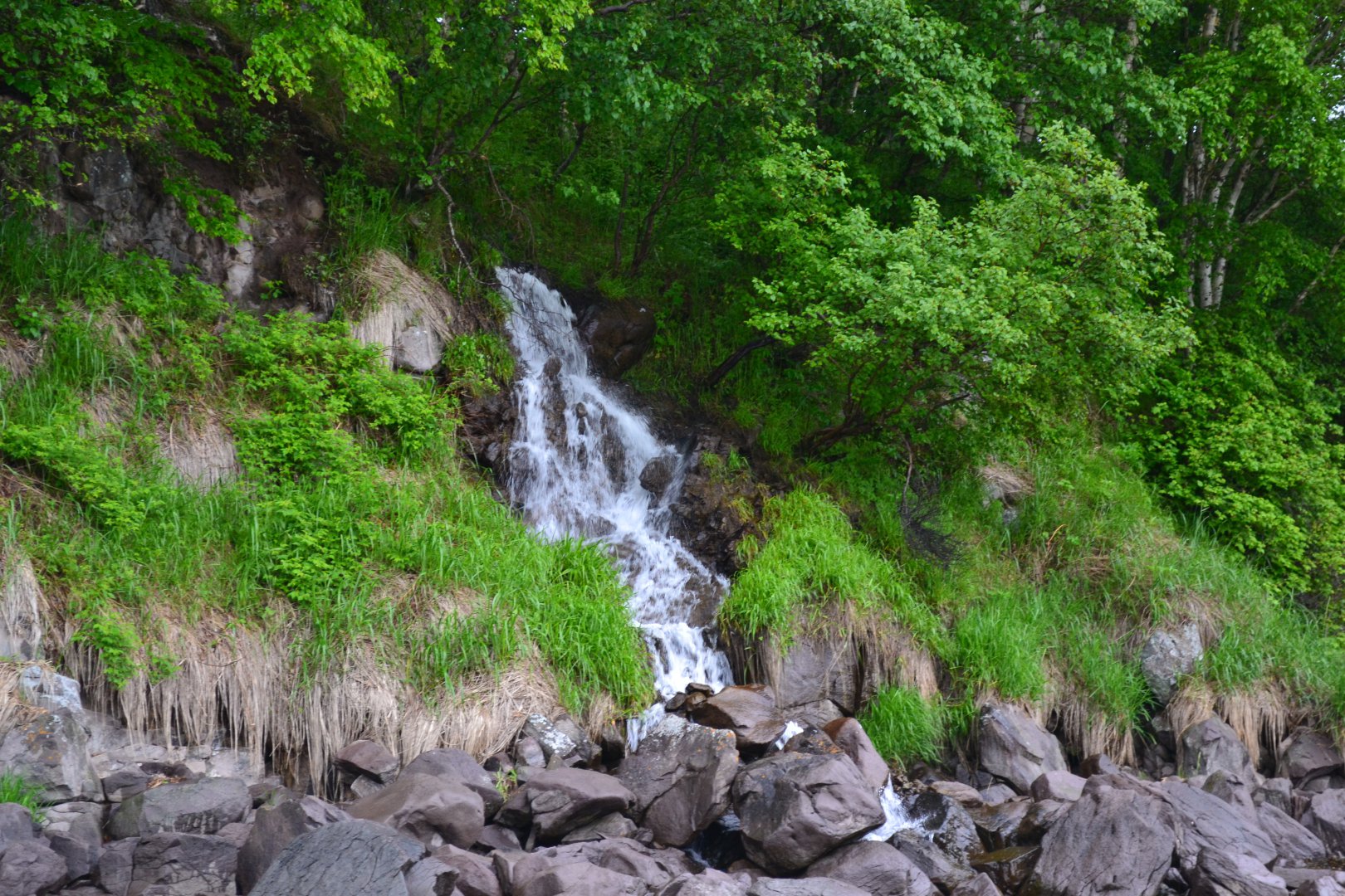 DSC_0162.JPG