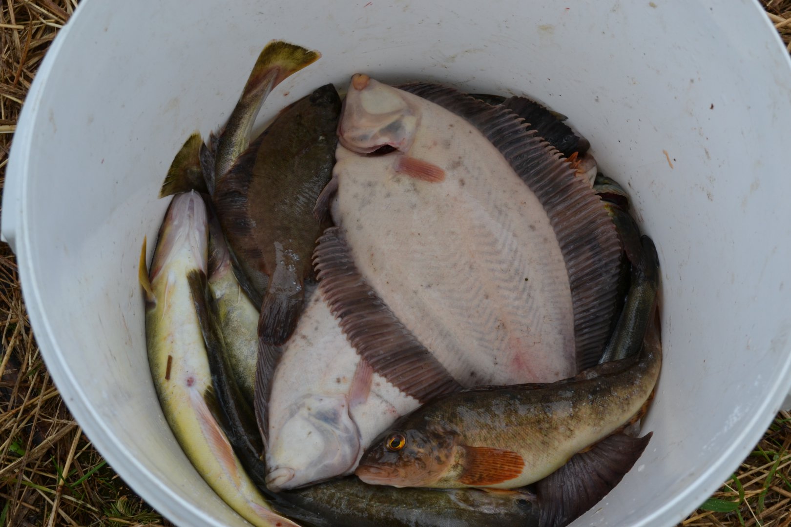 DSC_0163.JPG
