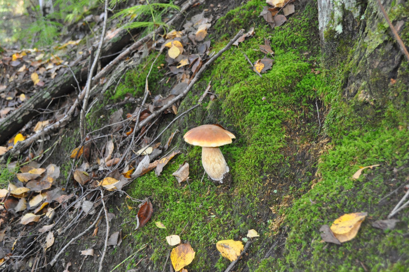 DSC_0176.JPG
